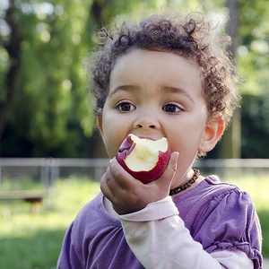 Why is nutrition in the early years so important?